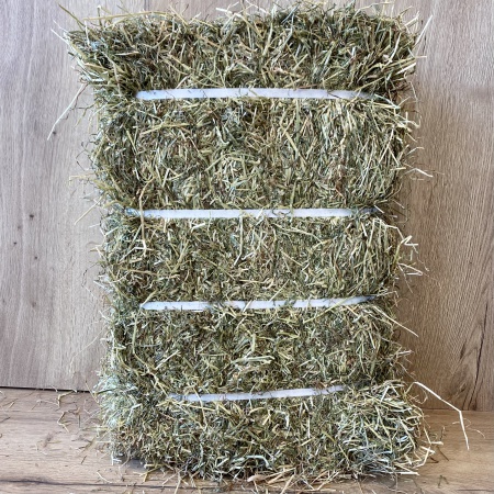 COVERDI - Foin Ray Grass Italien 14kg