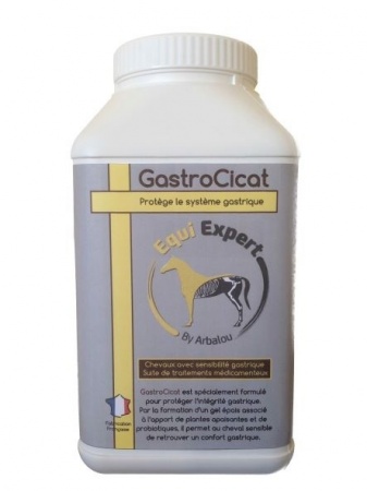 gastrocicat copie - copie 3.jpg