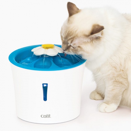 CATIT - Fontaine à eau LED