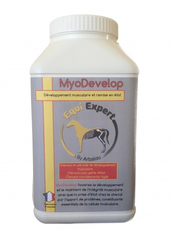 EQUIEXPERT - LOCOMOTION MyoDevelop