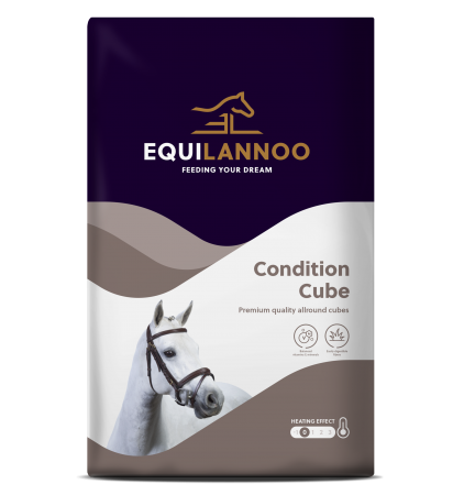 EQUIFIRST® --> EQUILANNOO® - Condition Cube