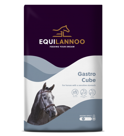 EQUIFIRST® --> EQUILANNOO® - Gastro Cube