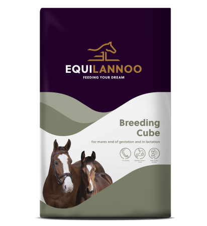 EQUIFIRST® --> EQUILANOO® - Breeding Cube (20 Kg.)