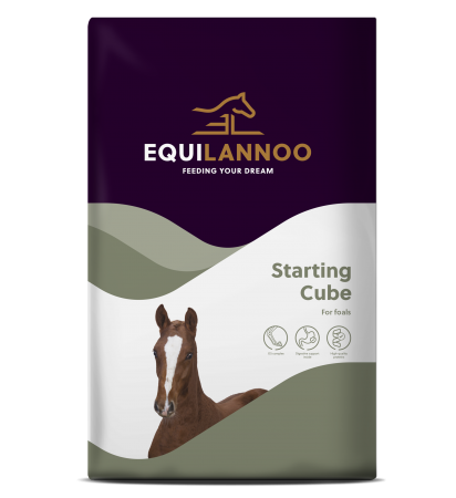 EQUIFIRST® --> EQUILANOO® - Starting Cube