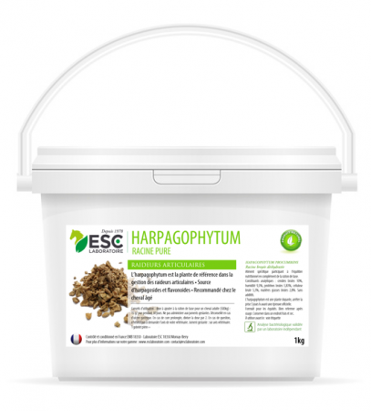 ESC LABORATOIRE - Harpagophytum 1 Kg