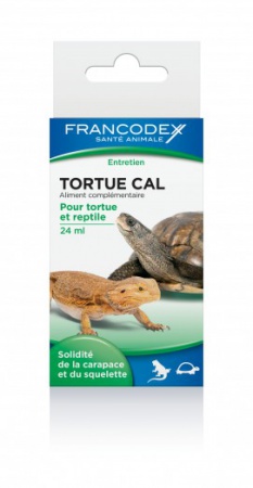 FRANCODEX - Tortue Cal