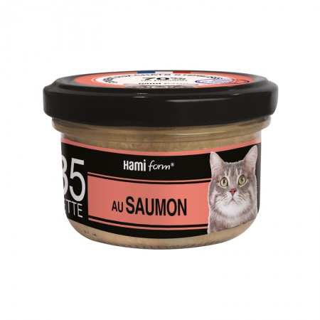 HAMIFORM - \ Les Cuisinés\  Recette au saumon N°35