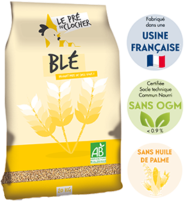 LE PRÉ DU CLOCHER - Blé BIO 