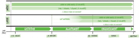 LE PRÉ DU CLOCHER - Lapin Clapier Granulé 20 Kg