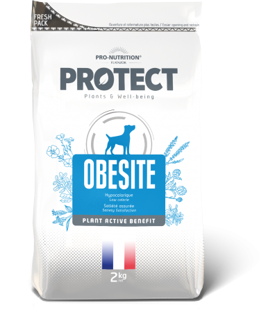 PROTECT - Obesite