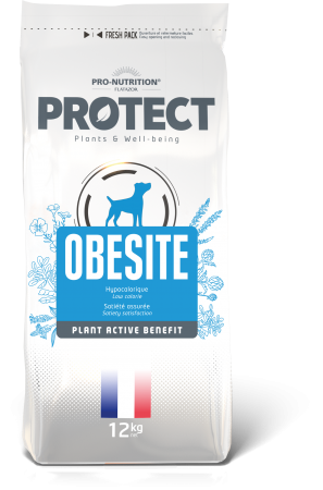 PROTECT - Obesite