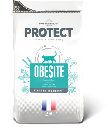 PROTECT - Obesite