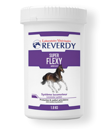 REVERDY - Super Flexy 1.8 Kg