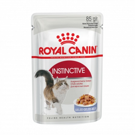 ROYAL CANIN - Kitten Gellée 12x85g