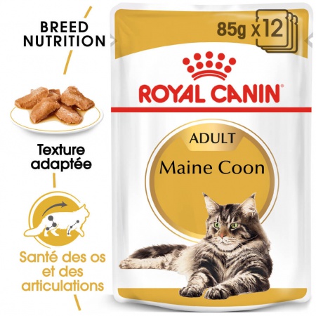 ROYAL CANIN - Maine Coon Adult 12 x 85g.