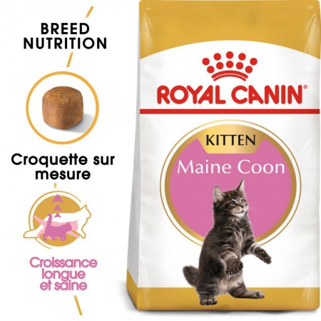 ROYAL CANIN - Maine Coon Kitten