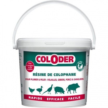 SANITERPEN COLODER - Résine de colophane