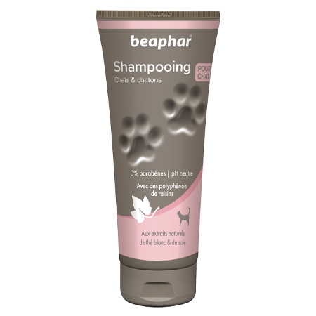 Shampooing Empreinte Chatons et Chats