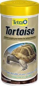 TETRA - Tortoise