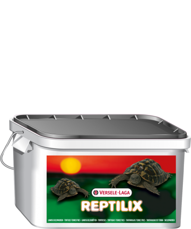 VERSELE LAGA - Reptilix Tortue 4 L