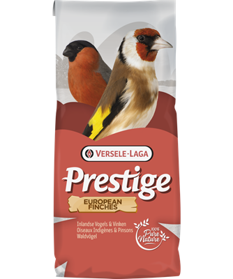 VERSELE-LAGA Prestige - Indigènes