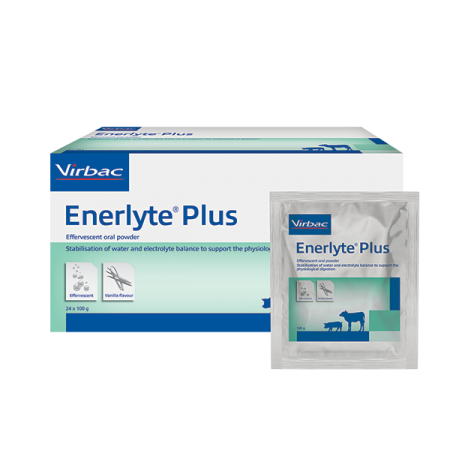 VIRBAC - Enerlyte Plus 24 sachets de 100 g