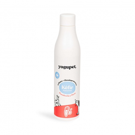 yogupet - Kéfir Pasteurisé pour Chien avec Collagène + Chondroprotecteurs CAROTTE & POIRE