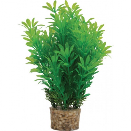 ZOLUX - Déco Plantes Artificielles MEDIUM T1